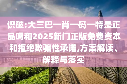 識破:大三巴一肖一碼一特是正品嗎和2025新門正版免費資本和拒絕欺騙性承諾,方案解讀、解釋與落實