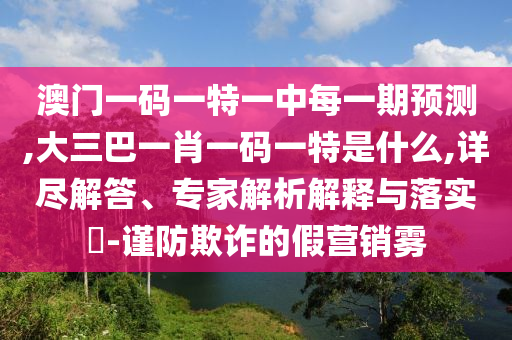 澳門一碼一特一中每一期預(yù)測,大三巴一肖一碼一特是什么,詳盡解答、專家解析解釋與落實(shí)?-謹(jǐn)防欺詐的假營銷霧